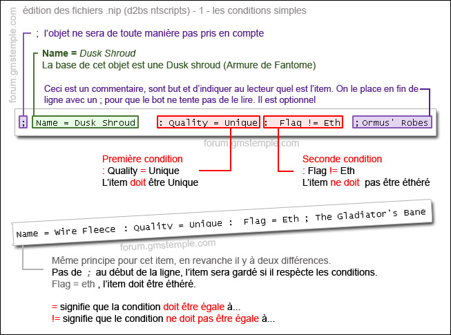 Snagit simple condition